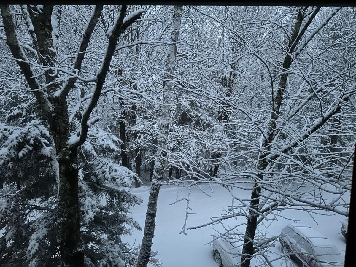 Vermont Getaway! Newly Renovated! Stratton Valley Exteriör bild